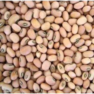 Feijão de Corda Sempre Verde Kg