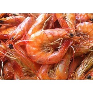 Camarão Salgado com Cabeça